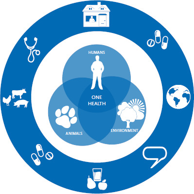 Antimicrobial resistance in Germany and Europe - A systematic review on the increasing threat accelerated by climate change.