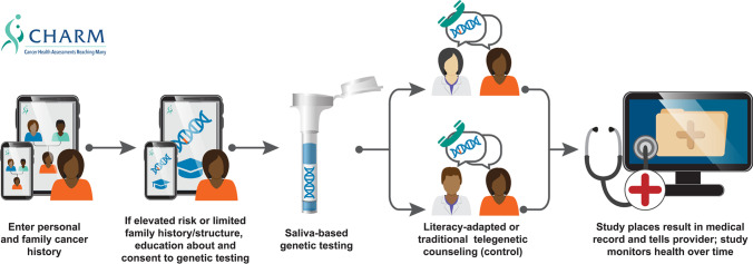 Evaluating cancer genetic services in a safety net system: overcoming barriers for a lasting impact beyond the CHARM research project.