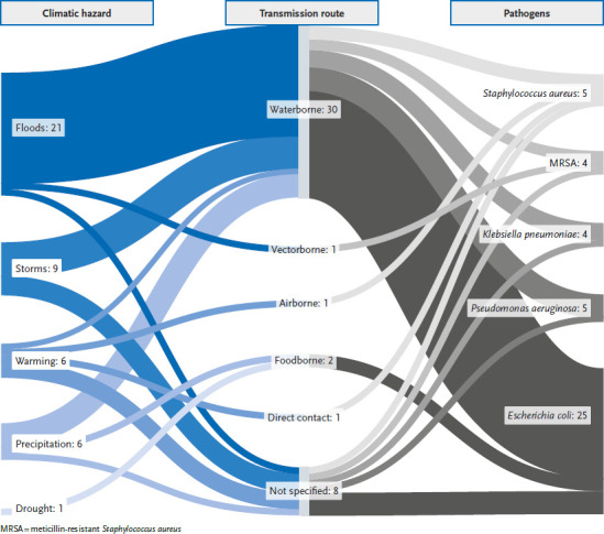 Antimicrobial resistance in Germany and Europe - A systematic review on the increasing threat accelerated by climate change.