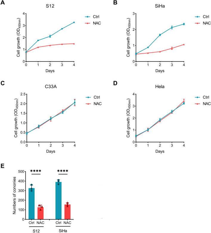 N-Acetyl-L-Cysteine Reduces Cervical Carcinogenesis by Promoting Apoptosis.