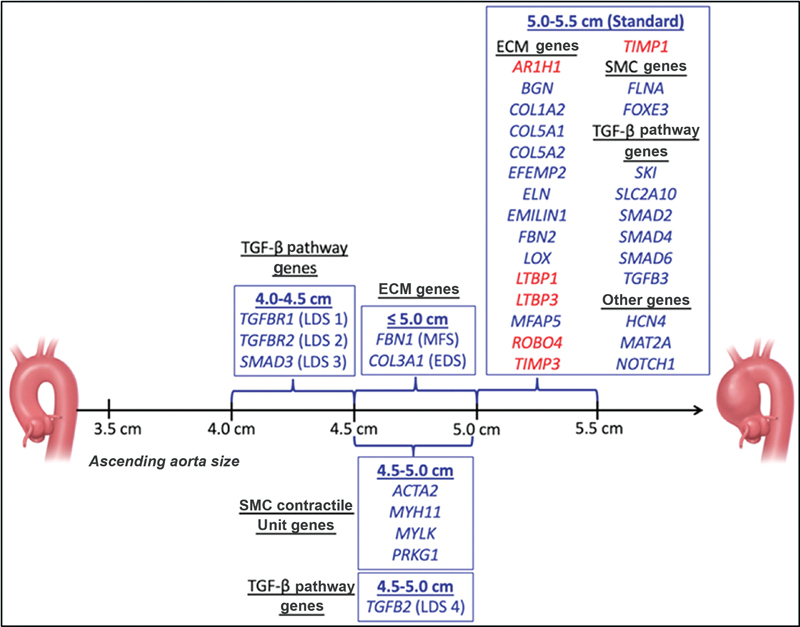 Comparison of Genes Associated with Thoracic and Abdominal Aortic Aneurysms.