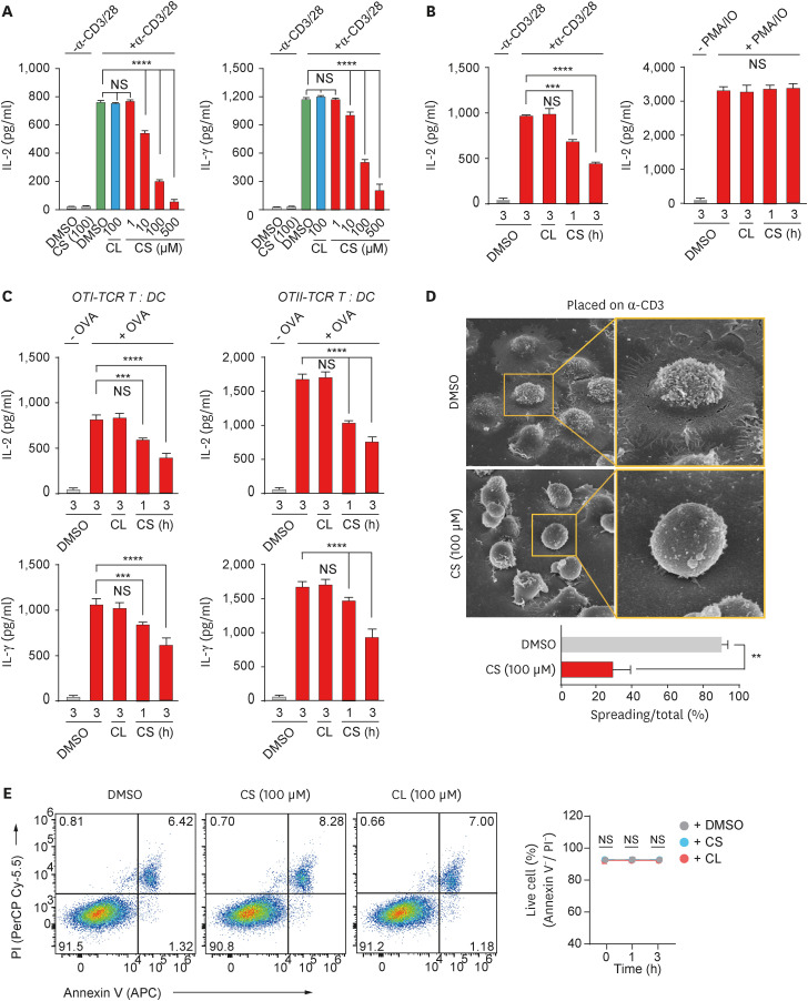 The Immunosuppressive Potential of Cholesterol Sulfate Through T Cell Microvilli Disruption.