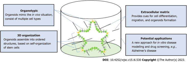 Neural lineage differentiation of human pluripotent stem cells: Advances in disease modeling.