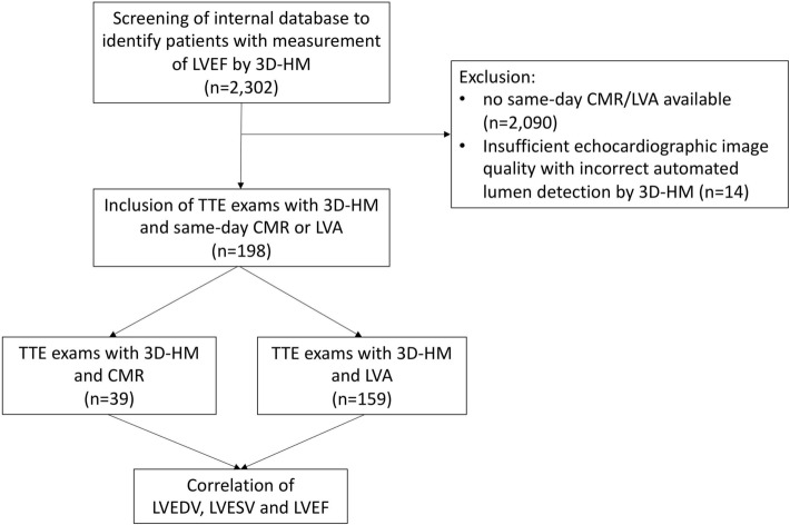 Echocardiographic evaluation of left ventricular function using an automated analysis algorithm is feasible for beginners and experts: comparison with invasive and non-invasive methods.