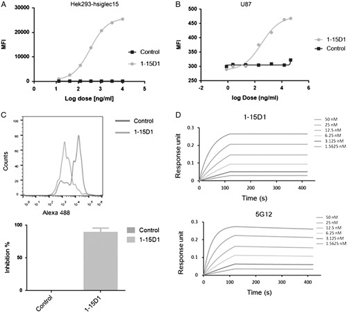 Enhancing the Anti-tumor Potency of a Novel Siglec-15 Antibody by Engineering its Fc-mediated Effector Functions.