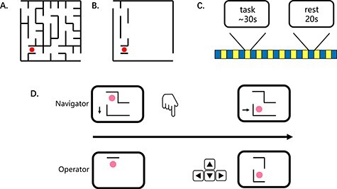 Bidirectional understanding and cooperation: interbrain neural synchronization during social navigation.