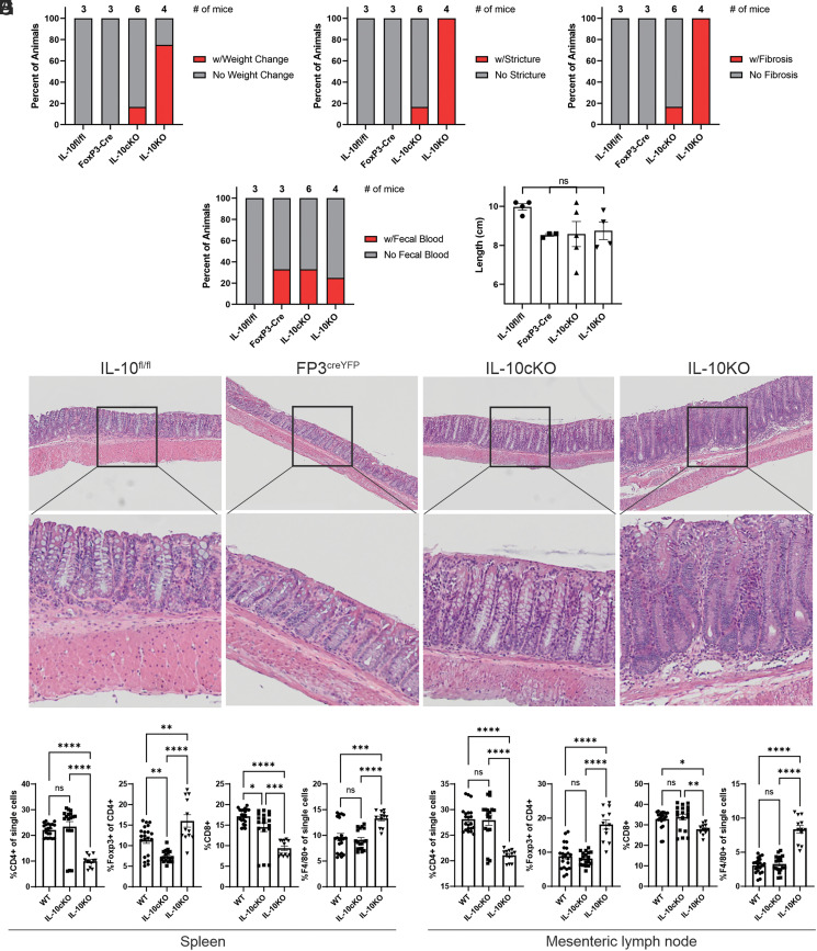 Intestinal Tr1 Cells Confer Protection against Colitis in the Absence of Foxp3+ Regulatory T Cell-Derived IL-10.