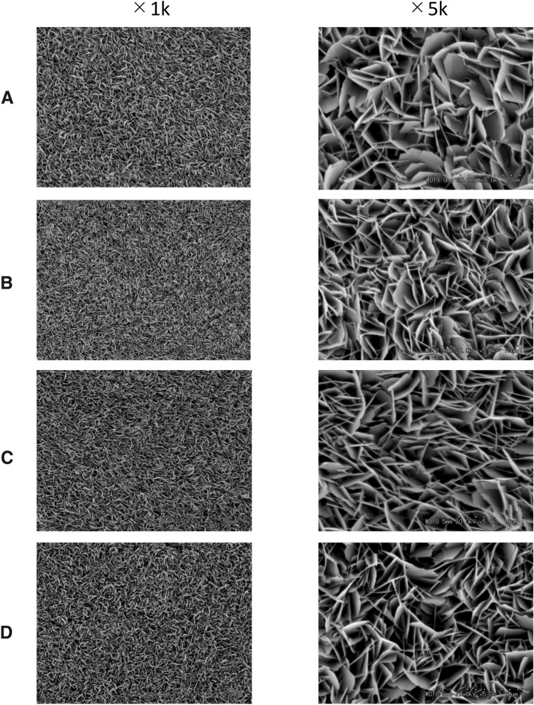 Regaining enamel color quality using enamel matrix derivative.