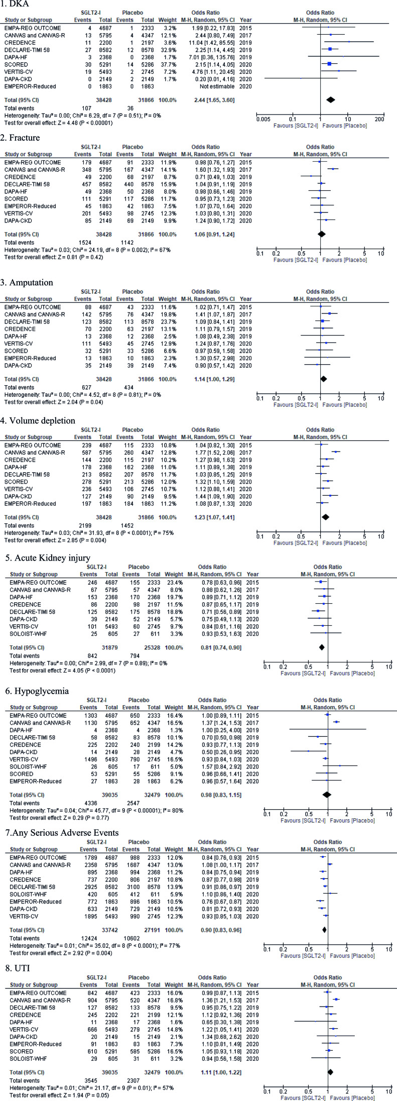 Safety outcomes of sodium-glucose cotransporter-2 inhibitors in patients with type 2 diabetes and other risk factors for cardiovascular disease: a systematic review and meta-analysis.