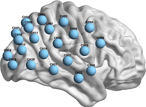 Bidirectional understanding and cooperation: interbrain neural synchronization during social navigation.