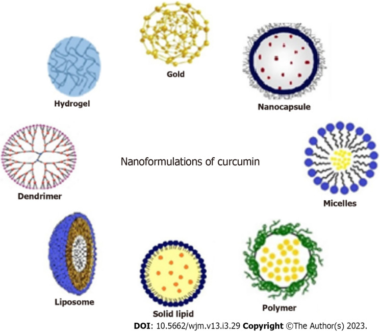 Therapeutic potential of curcumin and its nanoformulations for treating oral cancer.