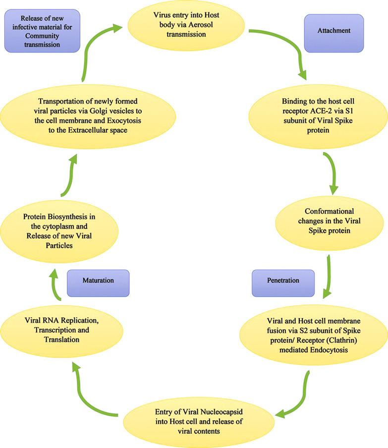 Therapeutic Benefits of Melatonin against COVID-19.