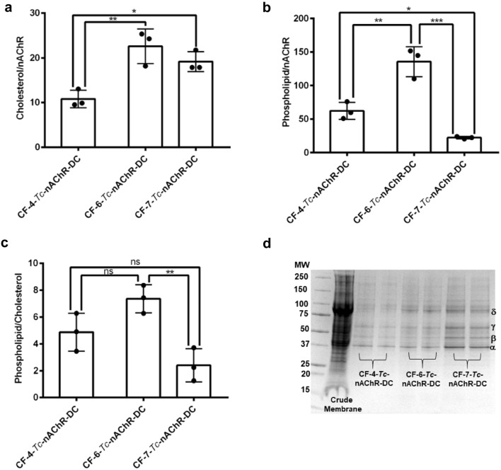 Assessment of Purity, Functionality, Stability, and Lipid Composition of Cyclofos-nAChR-Detergent Complexes from Torpedo californica Using Lipid Matrix and Macroscopic Electrophysiology.