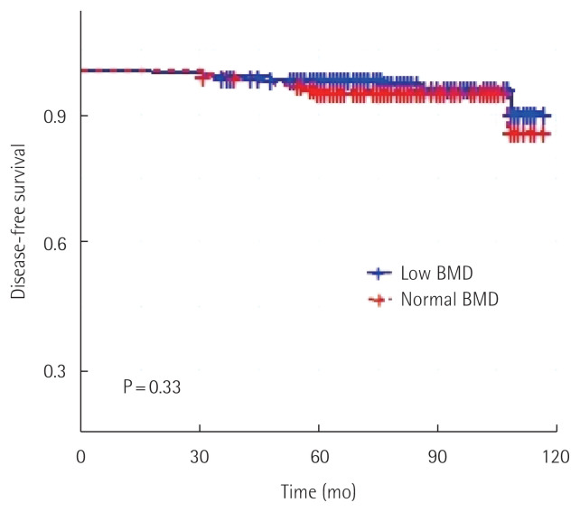 Is bone mineral density a prognostic factor in postmenopausal women with luminal A breast cancer?