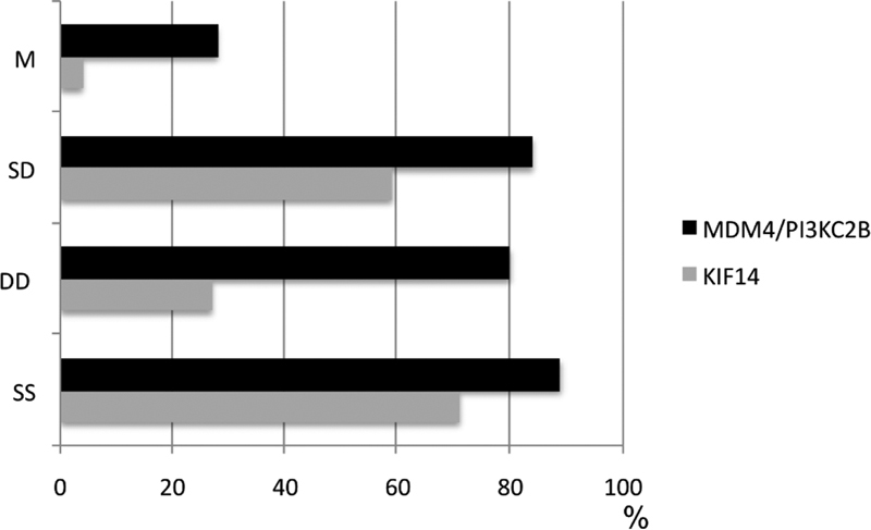 Replication Timing Aberration of <i>KIF14</i> and <i>MDM4</i> / <b><i>PI3KC</i></b> 2 <i>β</i> Alleles and Aneuploidy as Markers of Chromosomal Instability and Poor Treatment Response in Ewing Family Tumor Patients.