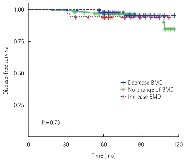 Is bone mineral density a prognostic factor in postmenopausal women with luminal A breast cancer?