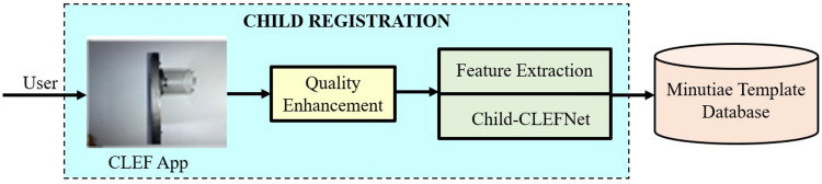 Convolutional neural network based children recognition system using contactless fingerprints.