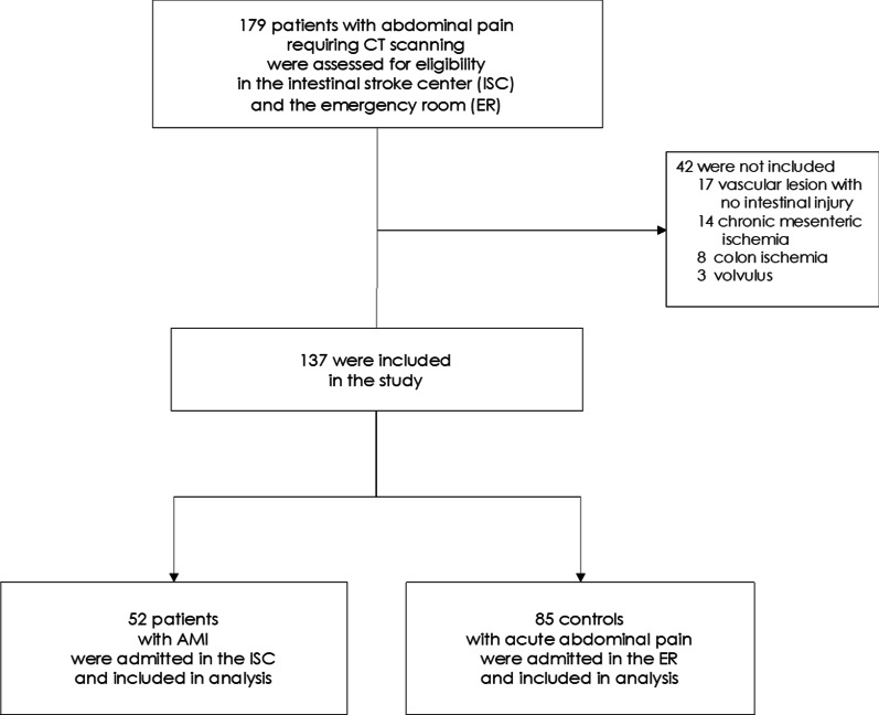 Improving clinical suspicion of acute mesenteric ischemia among patients with acute abdomen: a cross-sectional study from an intestinal stroke center.