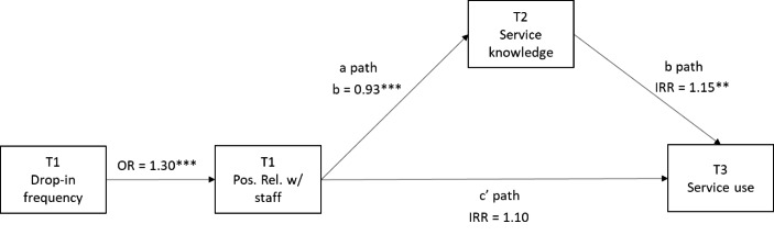 A Longitudinal Exploration of How Connections to Staff Facilitate Efficacy and Service Use in Drop-in Centers Serving Youth Experiencing Homelessness.