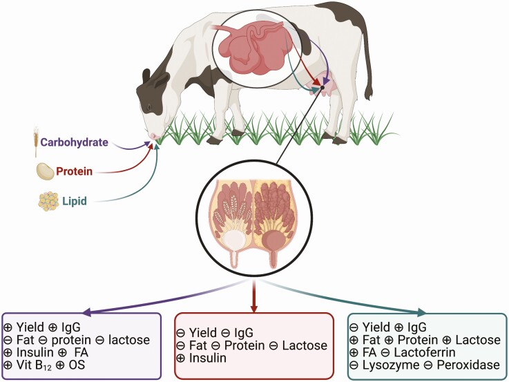 Prepartum nutrient intake and colostrum yield and composition in ruminants.