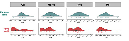 Cadmium, lead, and mercury in two commercial squid species from the north Adriatic Sea (central Mediterranean): contamination levels and health risk assessment.