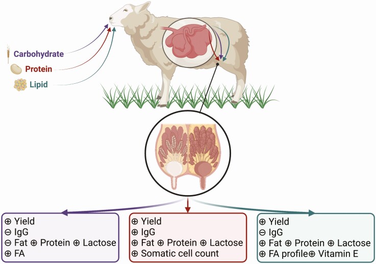 Prepartum nutrient intake and colostrum yield and composition in ruminants.