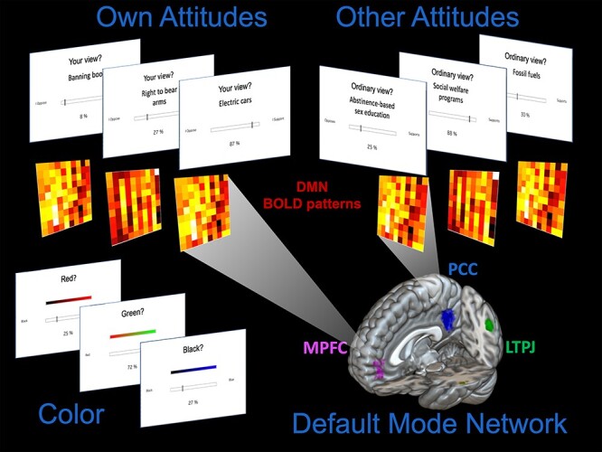 Default egocentrism: an MVPA approach to overlap in own and others' socio-political attitudes.