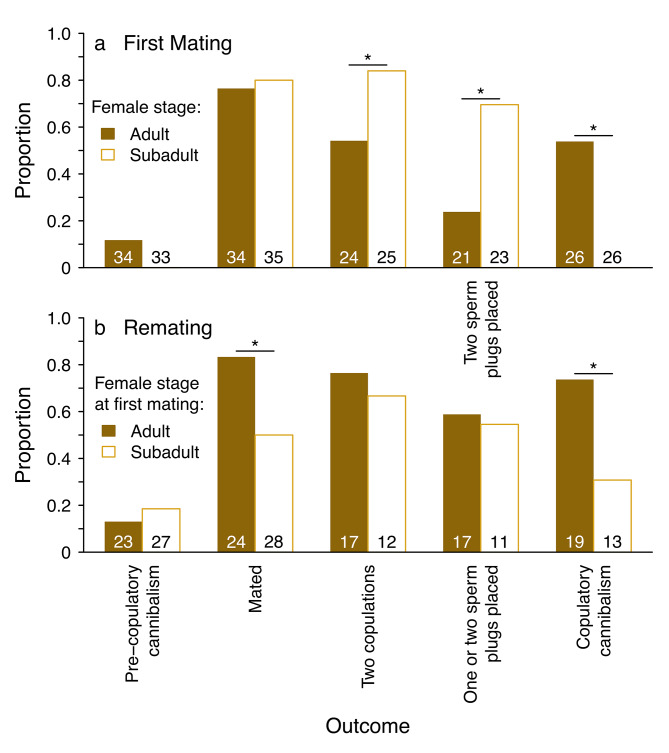 Pre-copulatory choices drive post-copulatory decisions: mechanisms of female control shift across different life stages.