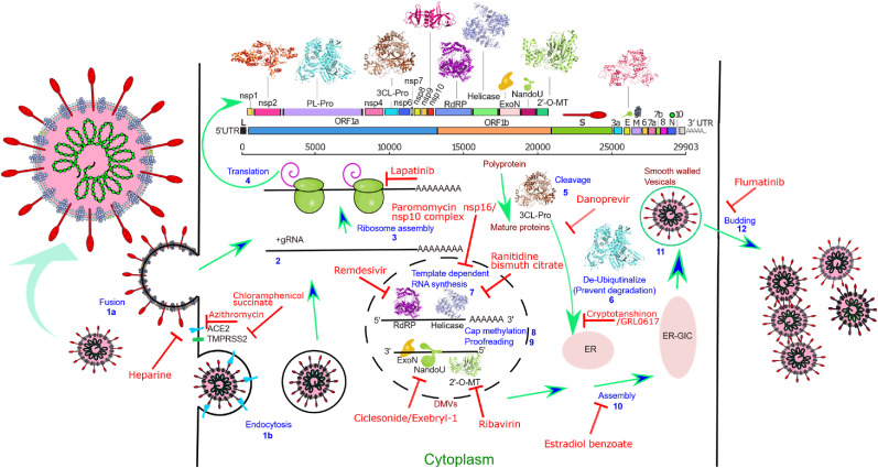 Protein structure-based in-silico approaches to drug discovery: Guide to COVID-19 therapeutics