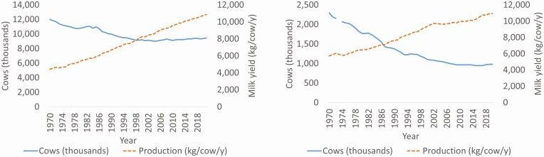 The effects of breeding and selection on lactation in dairy cattle.