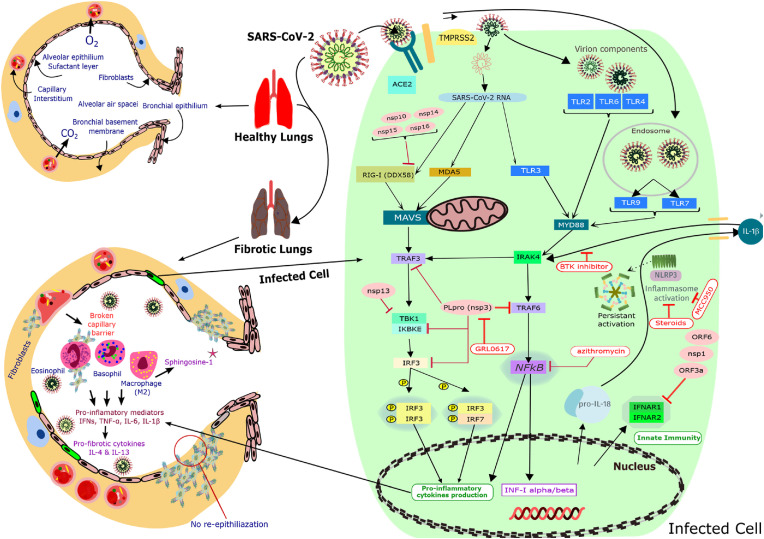 Protein structure-based in-silico approaches to drug discovery: Guide to COVID-19 therapeutics