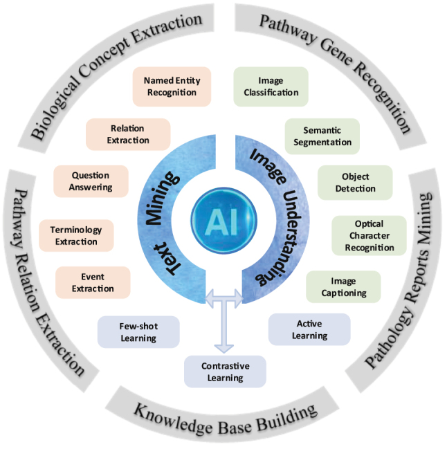 Applications of cutting-edge artificial intelligence technologies in biomedical literature and document mining.