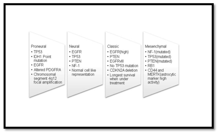 Precision medicine advancements in glioblastoma: A systematic review.