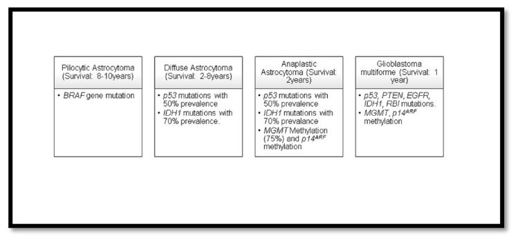 Precision medicine advancements in glioblastoma: A systematic review.