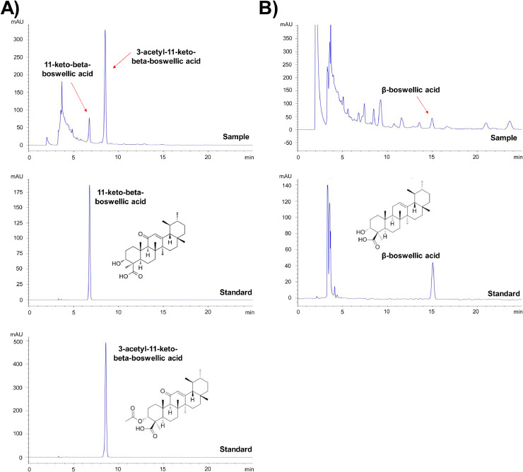 Frankincense ameliorates endometriosis via inducing apoptosis and reducing adhesion