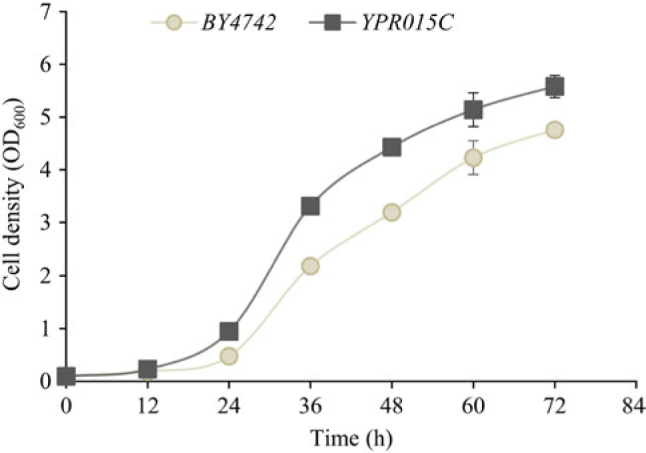 Contribution of <i>YPRO15C</i> Overexpression to the Resistance of <i>Saccharomyces cerevisiae</i> BY4742 Strain to Furfural Inhibitor.