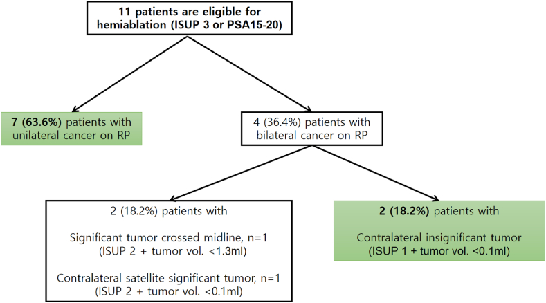 Combination of multiparametric magnetic resonance imaging and transperineal template-guided mapping prostate biopsy to determine potential candidates for focal therapy