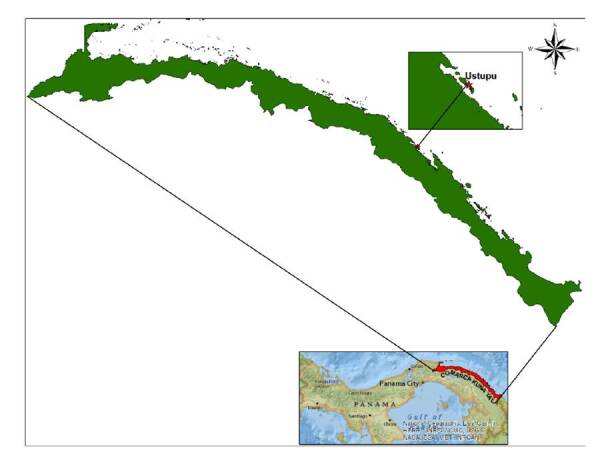 Evaluation of the biological efficacy and susceptibility in Aedes aegypti to the pyrethroid insecticides deltamethrin and cyfluthrin during the Zika virus outbreak in Kuna Yala, Panama