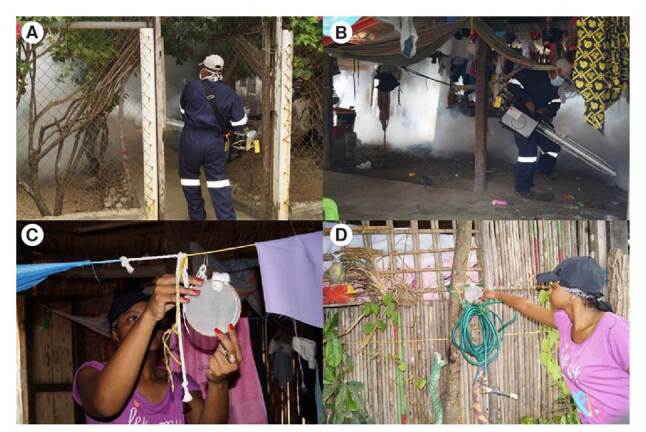 Evaluation of the biological efficacy and susceptibility in Aedes aegypti to the pyrethroid insecticides deltamethrin and cyfluthrin during the Zika virus outbreak in Kuna Yala, Panama