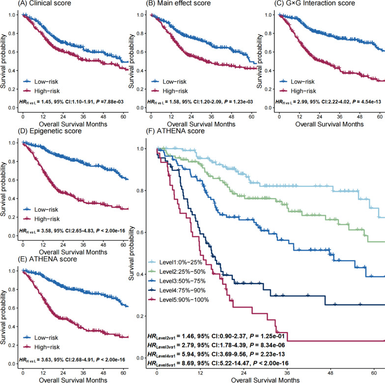 ATHENA: an independently validated autophagy-related epigenetic prognostic prediction model of head and neck squamous cell carcinoma.