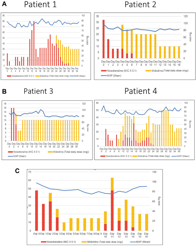 Oral Midodrine as an Adjunct in Rapid Weaning of Intravenous Vasopressor Support in Spinal Cord Injury.