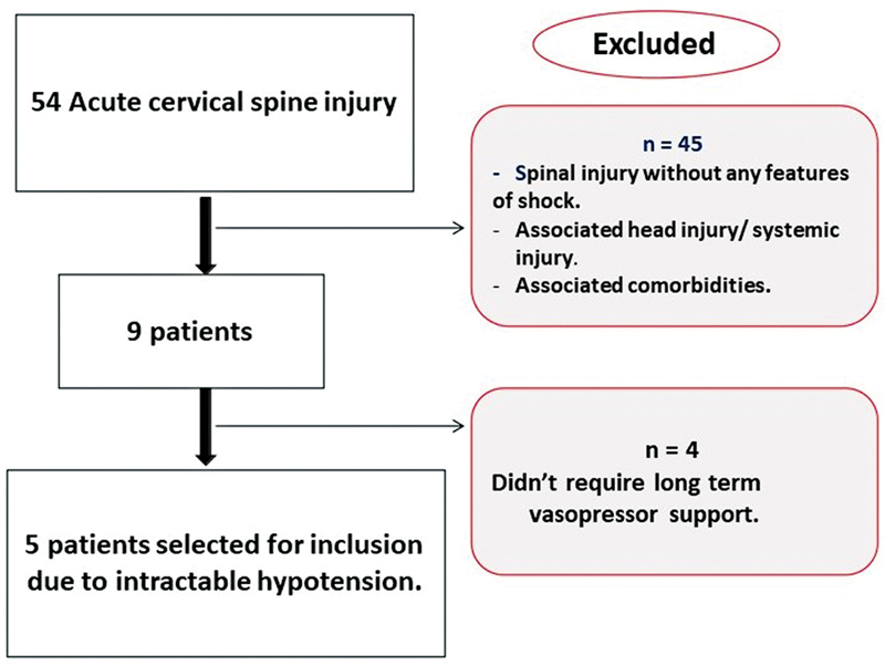 Oral Midodrine as an Adjunct in Rapid Weaning of Intravenous Vasopressor Support in Spinal Cord Injury.