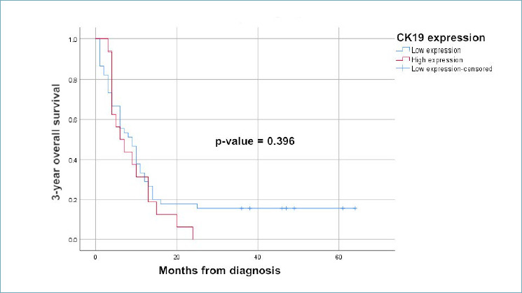 Clinical implications of Cytokeratin 19 expression in patients with oral squamous cell carcinoma.