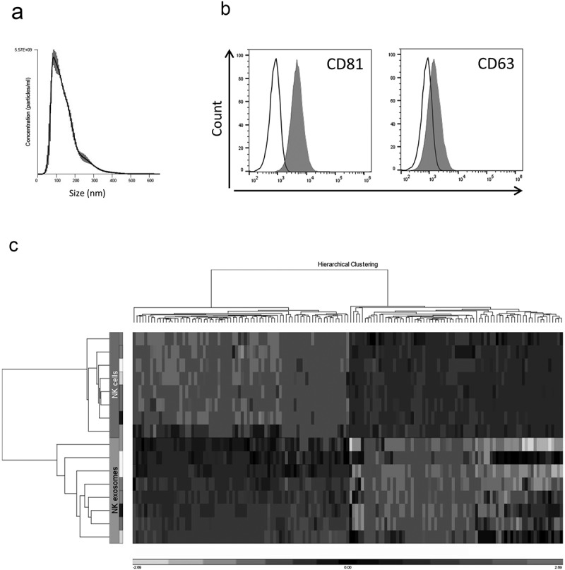 MicroRNA analysis of Natural Killer cell-derived exosomes: the microRNA let-7b-5p is enriched in exosomes and participates in their anti-tumor effects against pancreatic cancer cells.