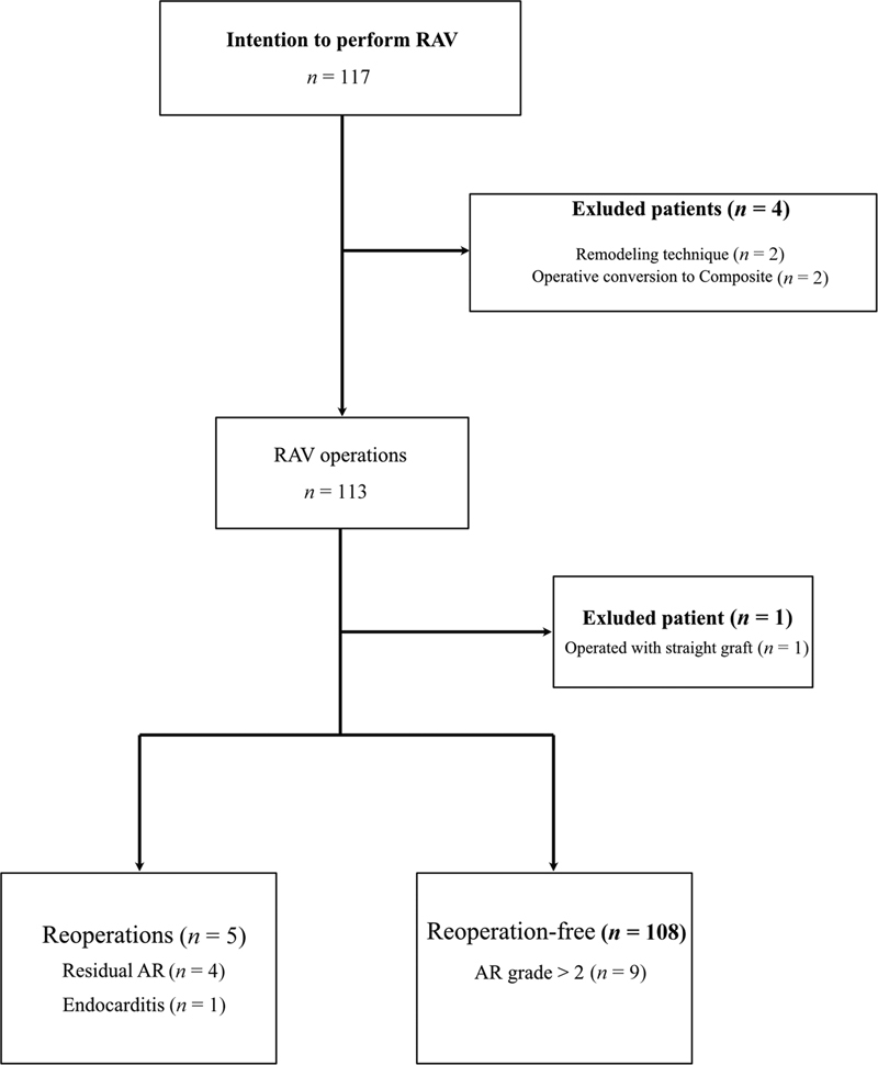 Reoperation or Aortic Regurgitation Progression after Reimplantation of the Aortic Valve (David's Procedure) Using the Valsalva Graft.