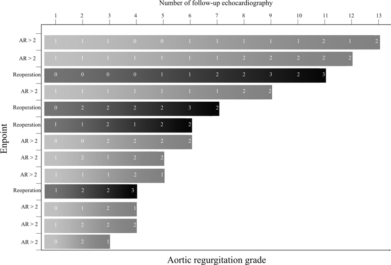 Reoperation or Aortic Regurgitation Progression after Reimplantation of the Aortic Valve (David's Procedure) Using the Valsalva Graft.