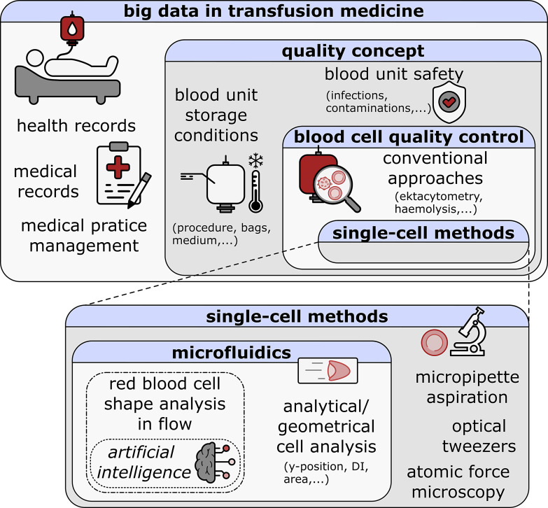 Big Data in Transfusion Medicine and Artificial Intelligence Analysis for Red Blood Cell Quality Control.