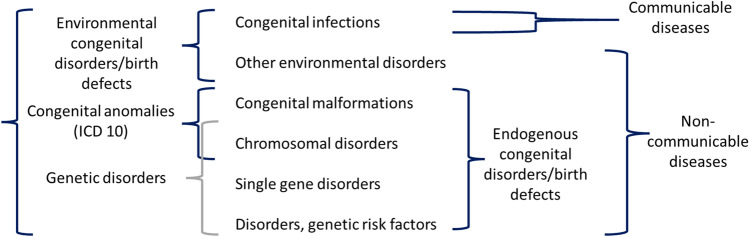 A review of key terminology and definitions used for birth defects globally.