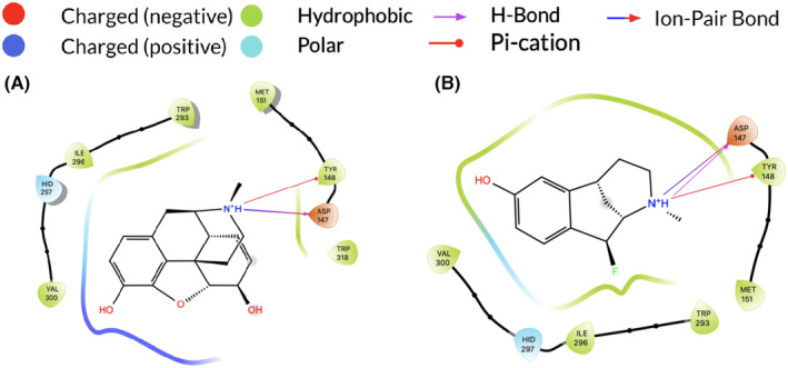 Computational design and molecular modeling of morphine derivatives for preferential binding in inflamed tissue.