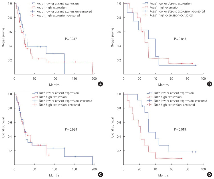 Impact of Nrf2 overexpression on cholangiocarcinoma treatment and clinical prognosis.